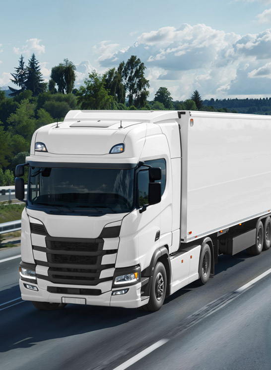 Comercialización en mercados mayoristas y cadenas de supermercados.