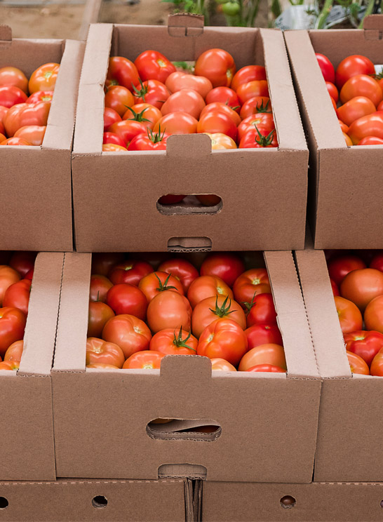 Envasado y etiquetado adaptado a las necesidades del cliente.