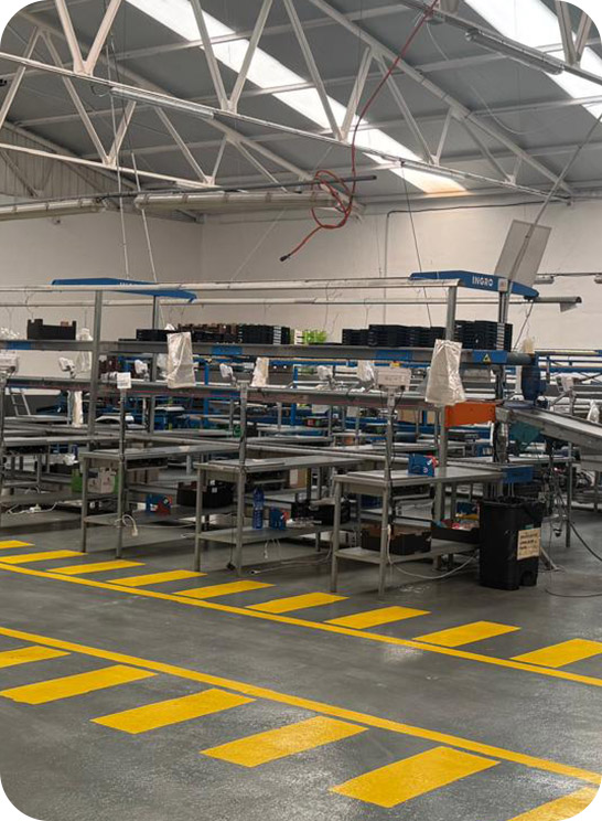 Selección, clasificación y control de calidad.