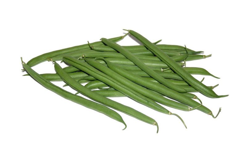 Judía verde